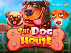 Red dog casino no deposit bonus codes 202329